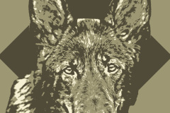 1_674fb1a6f74672e88da0ca566f608af8