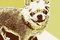 6706829e7482b88acf64922261695f3b