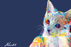 2d2e30016ba70a64028c91a134127d23