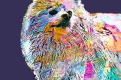 47f8e7f9b66903a8f1417328b9a0ce08