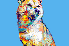 5439e12d85db66c1e18bd31e06541e8e