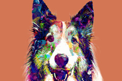 Luke_art