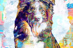 b26513fe1ec658bc5a99ad14faa4090a