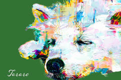 c541b5bc182e500134bd7b5823243ff0