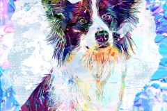 fang