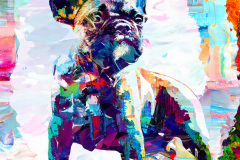 french_bull