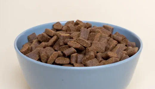 犬の食事~食べても良い野菜や果物！絶対に食べてはいけない食材を知っておこう