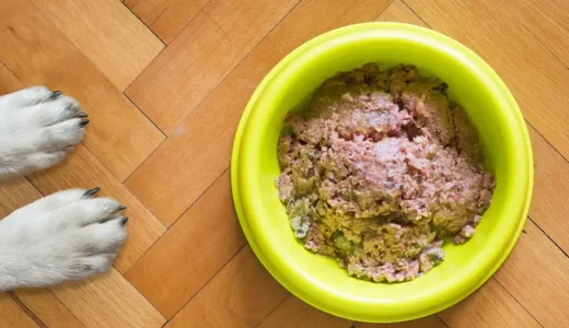 犬のアレルギーの原因となる食べ物7選｜フードアレルギーになりやすい犬種がいる！？