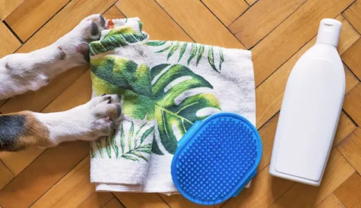 人間用のシャンプーで犬を洗う！？犬に使って良いもの・ダメなもの！
