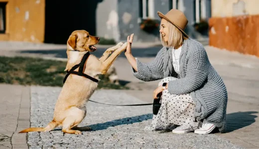 生後4ヶ月の子犬の育て方ガイド｜子犬の状態や覚えておきたいしつけを解説