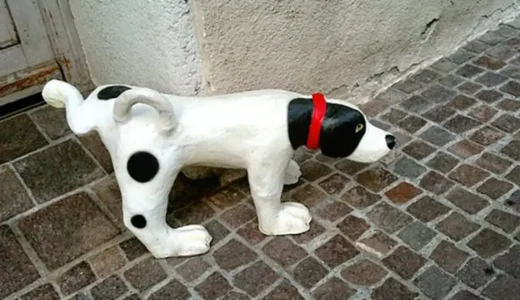 [犬のお散歩マナー]おしっこに水を掛けないで！間違ったマナーいつまで続けるの？