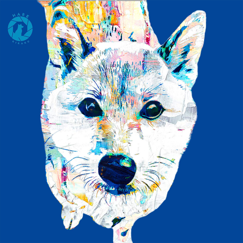 柴犬_アート