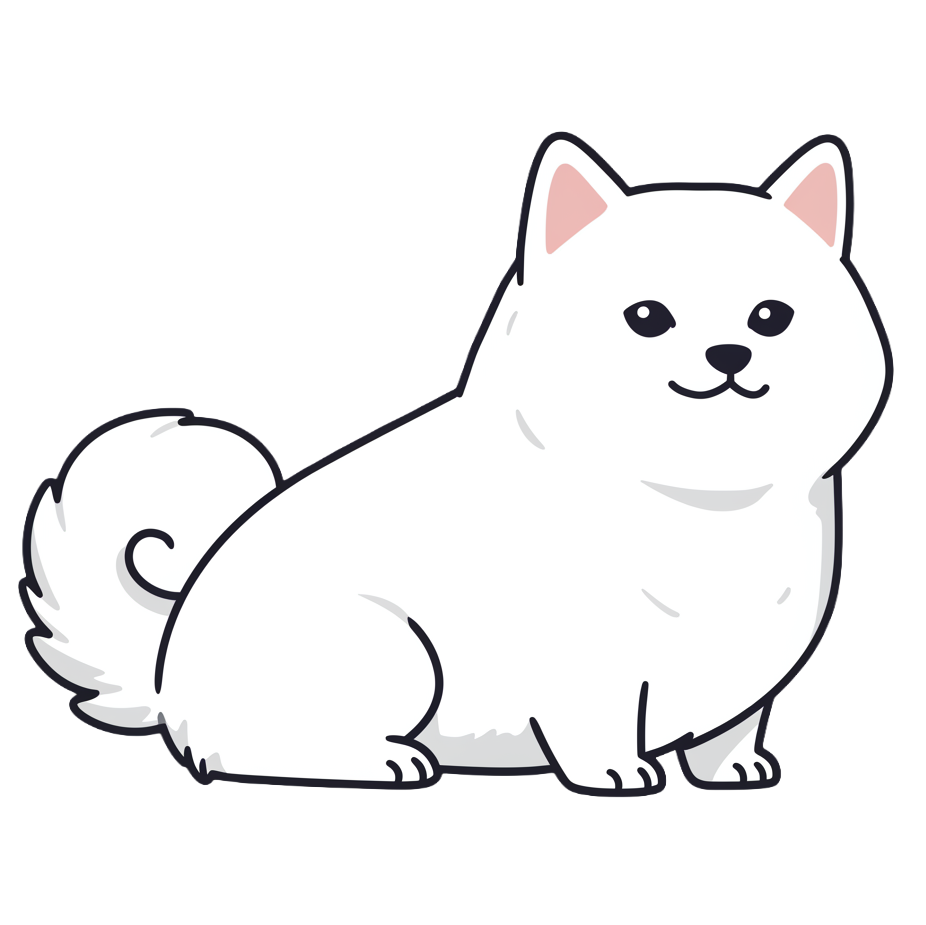 白柴