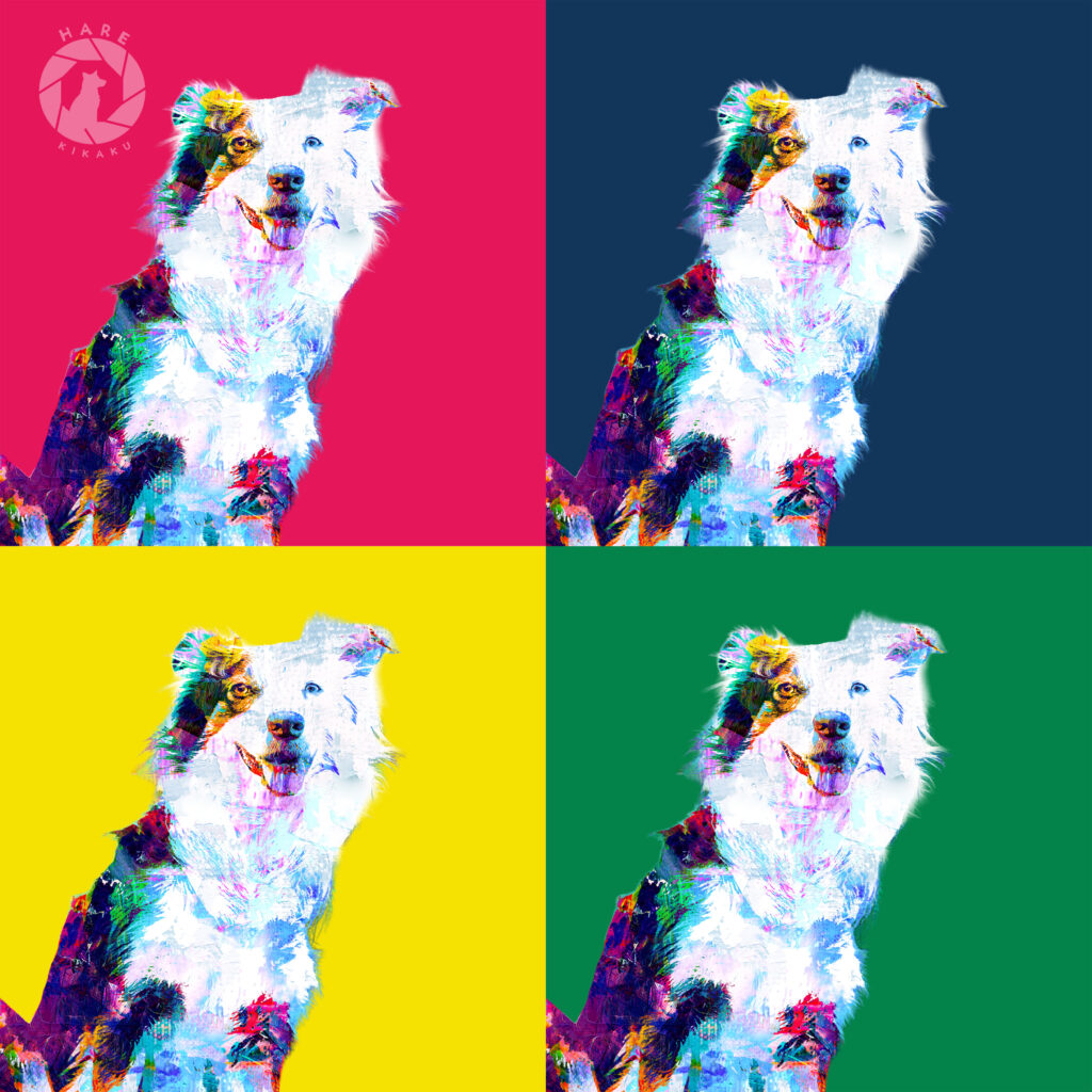 ボーダーコリーアート