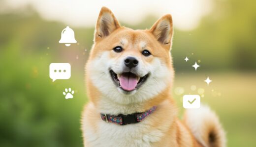 柴犬
