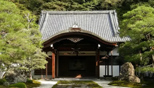 中型犬を連れて南禅寺｜おすすめのカフェはブルーボトルと、、