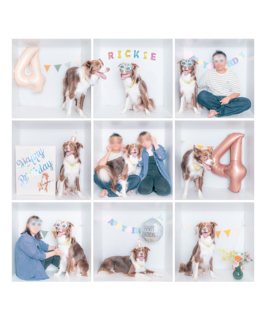 ボックスフォト