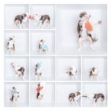 ボックスフォト