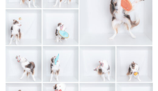 ボックスフォト