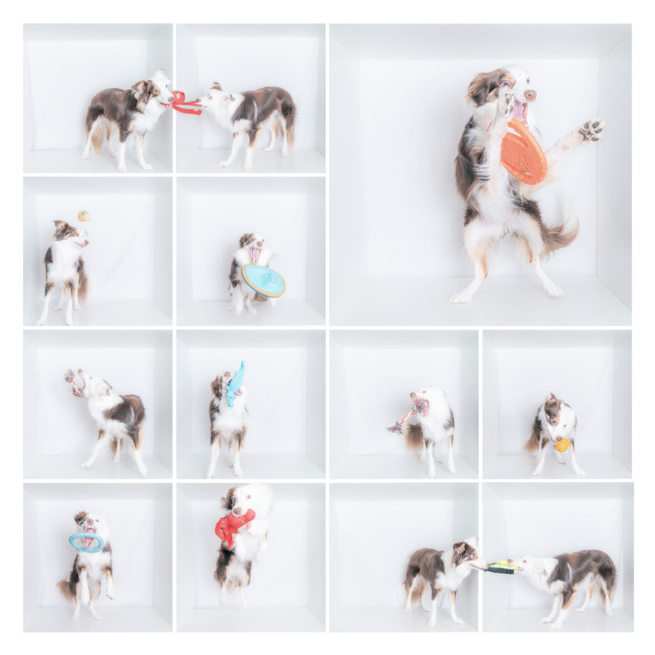 ボックスフォト