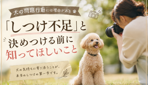 犬の問題行動には理由がある｜「しつけ不足」と決めつける前に知ってほしいこと